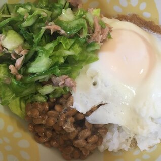 栄養たっぷり✳納豆ツナキャベツ丼